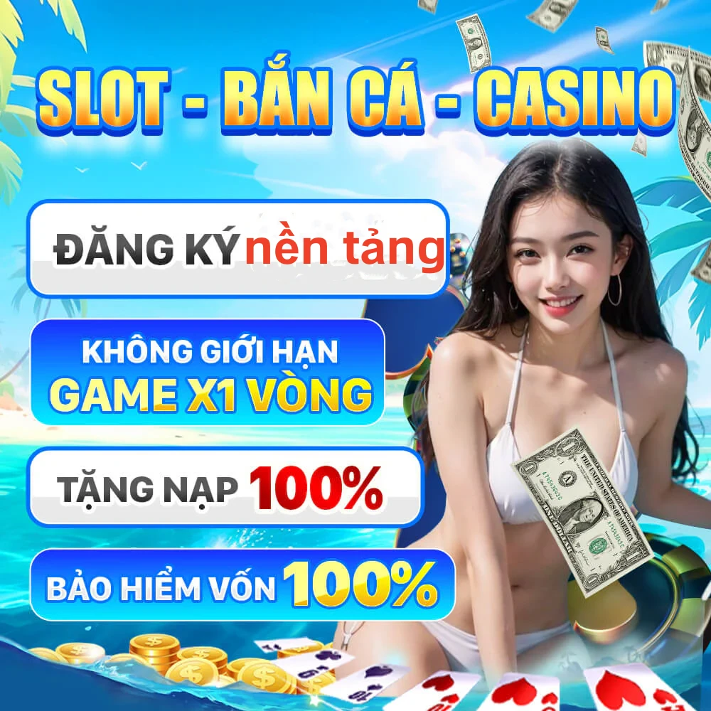 vn8day