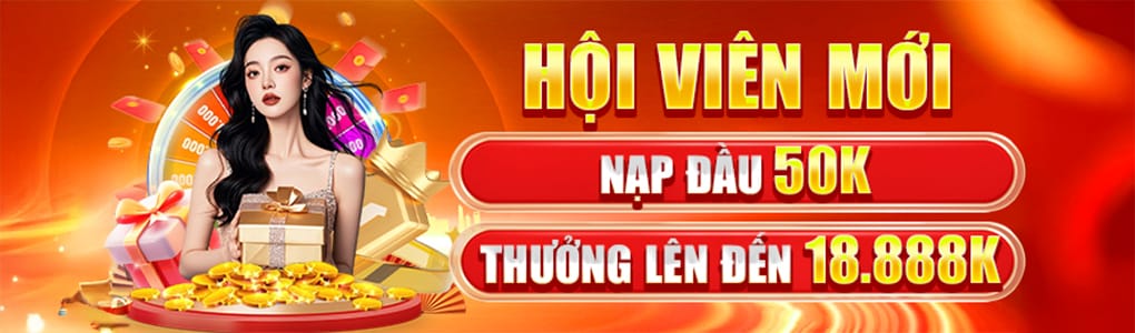vn8day