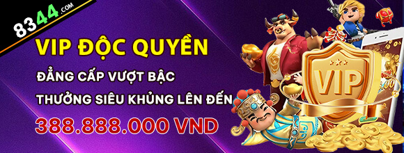 vn8day