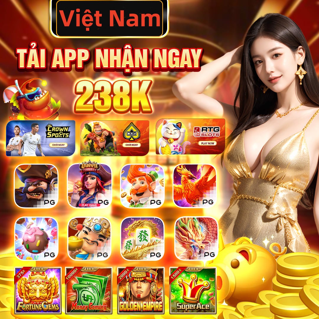 vn8day