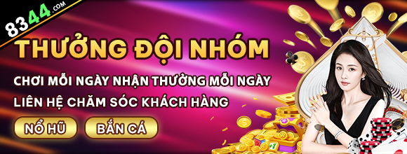 vn8day
