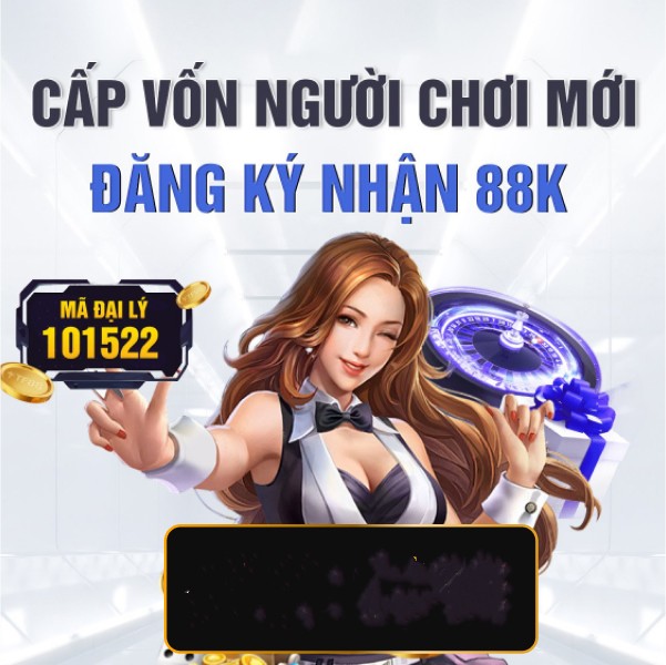 vn8day