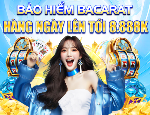 vn8day