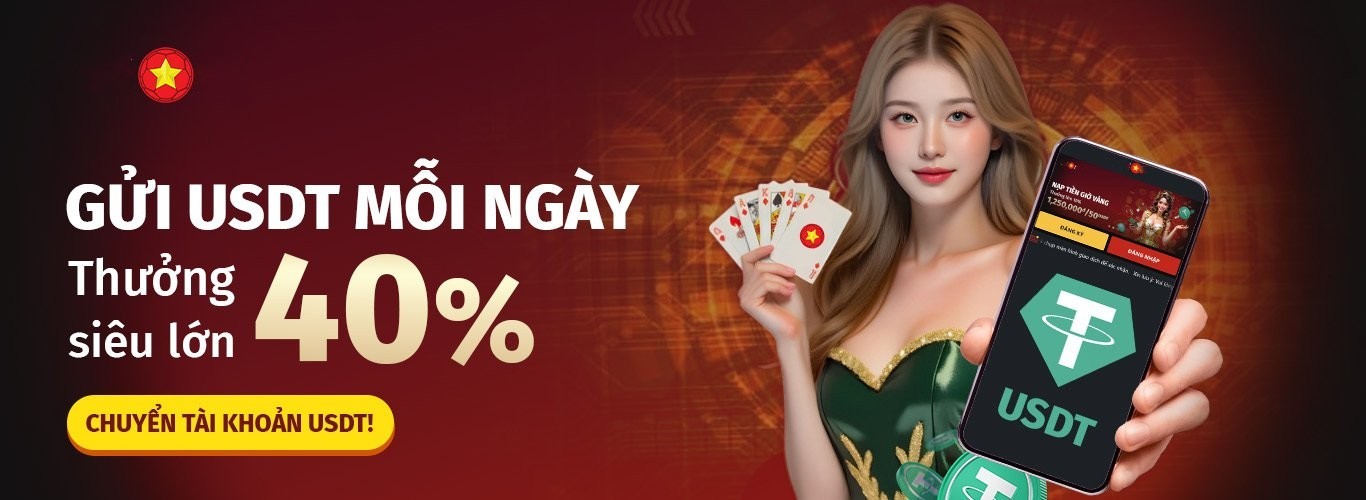 vn8day