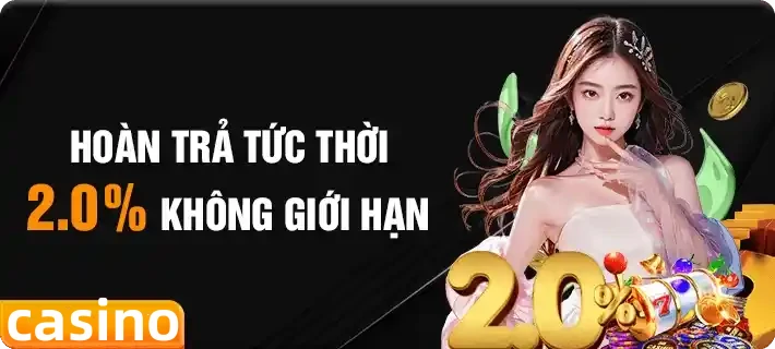 vn8day