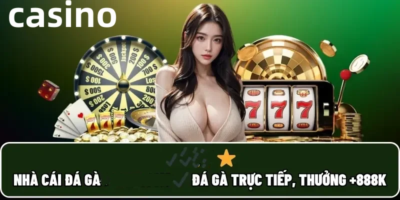 vn8day