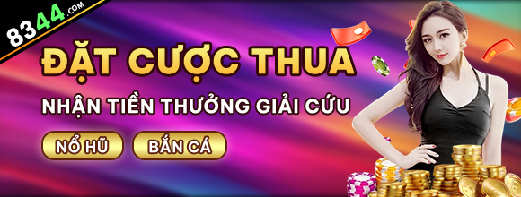 vn8day
