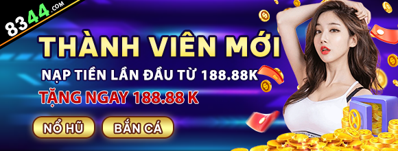 vn8day