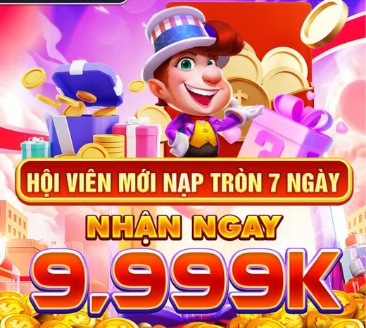 vn8day