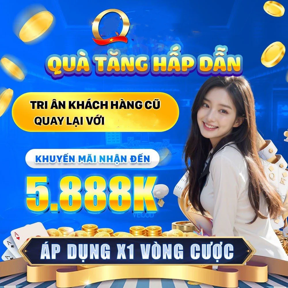 vn8day