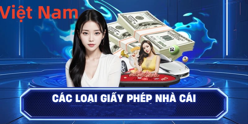vn8day