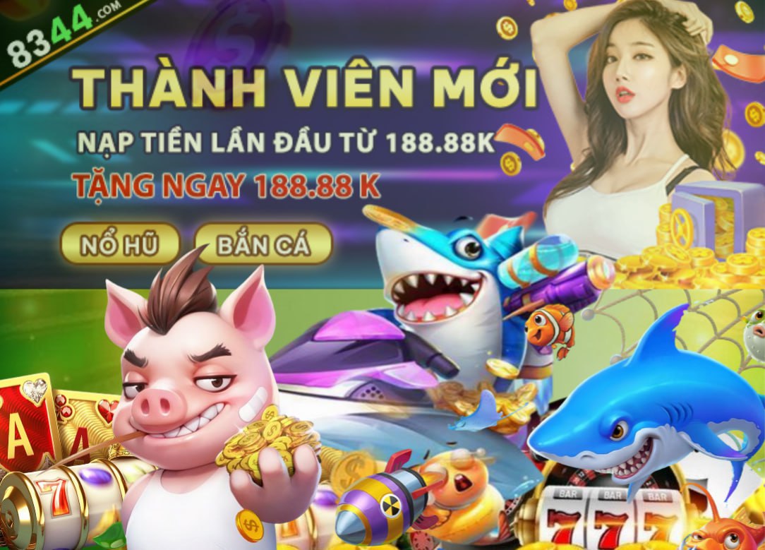 vn8day