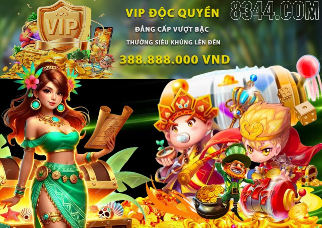 vn8day