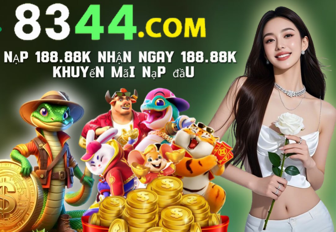 vn8day