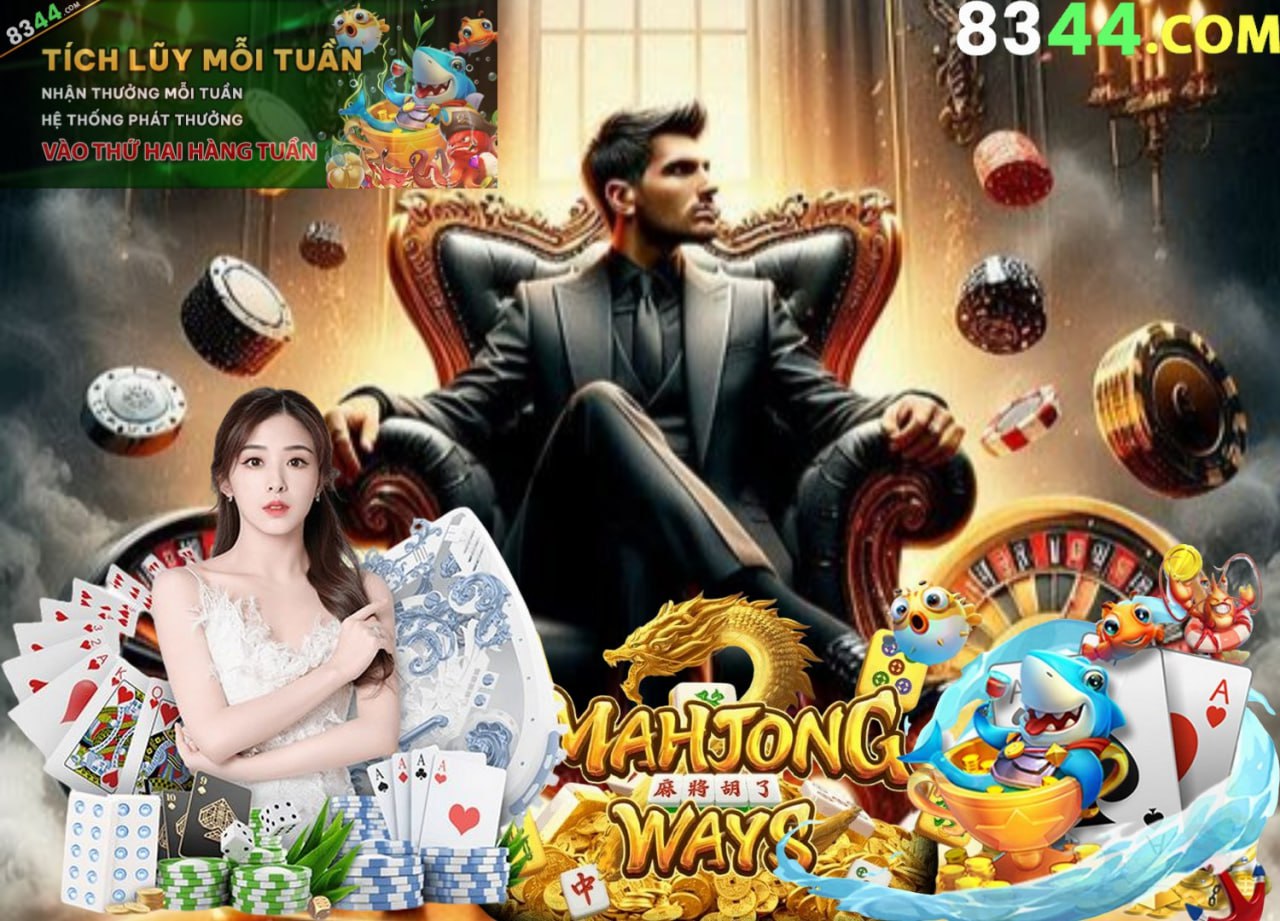 vn8day
