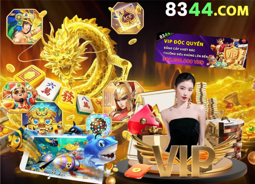 vn8day