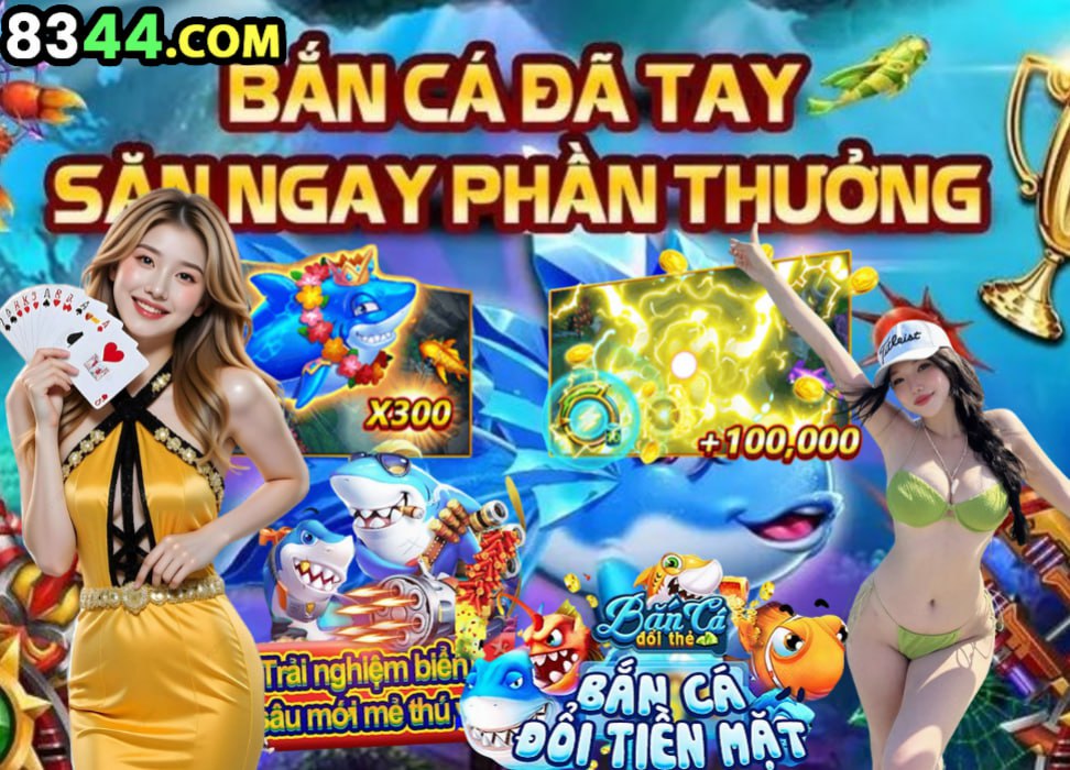 vn8day