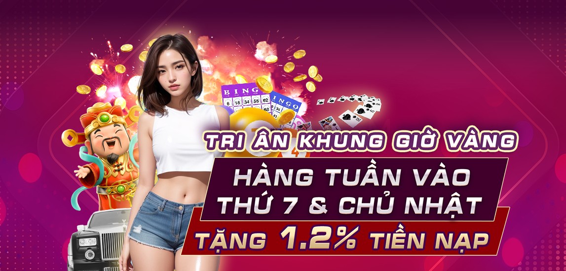 vn8day