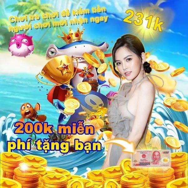 vn8day