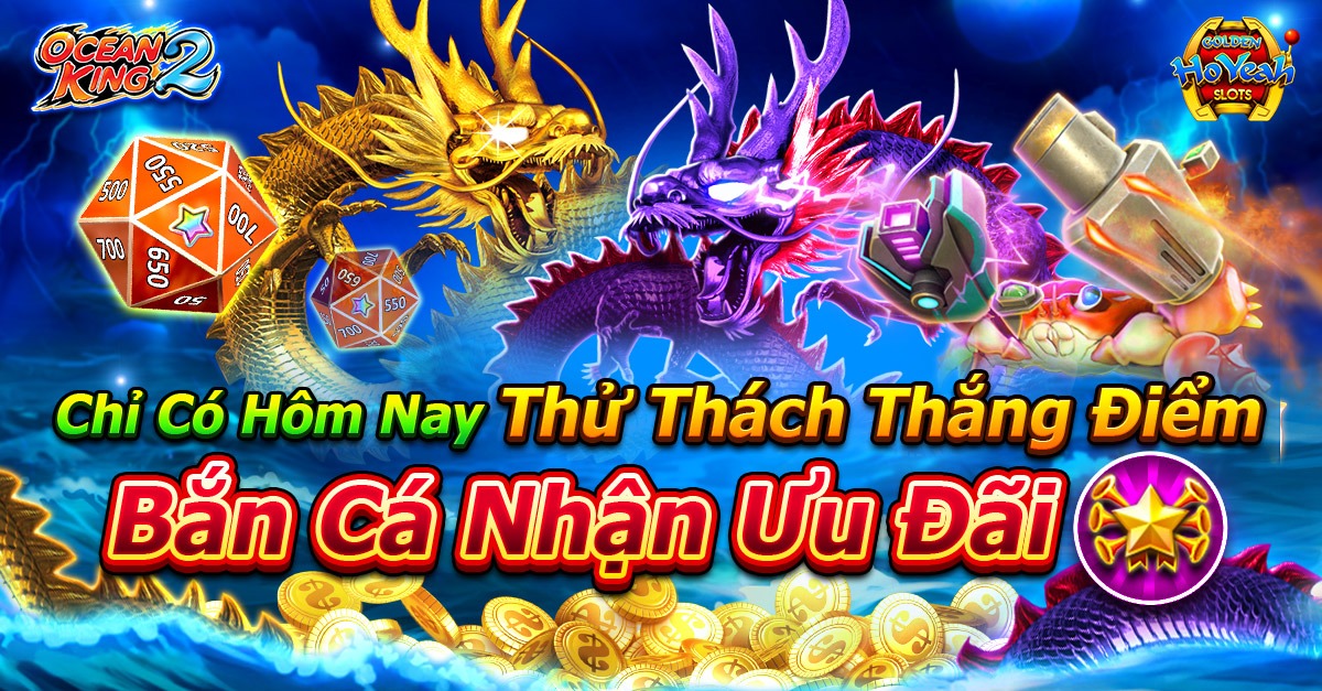 vn8day