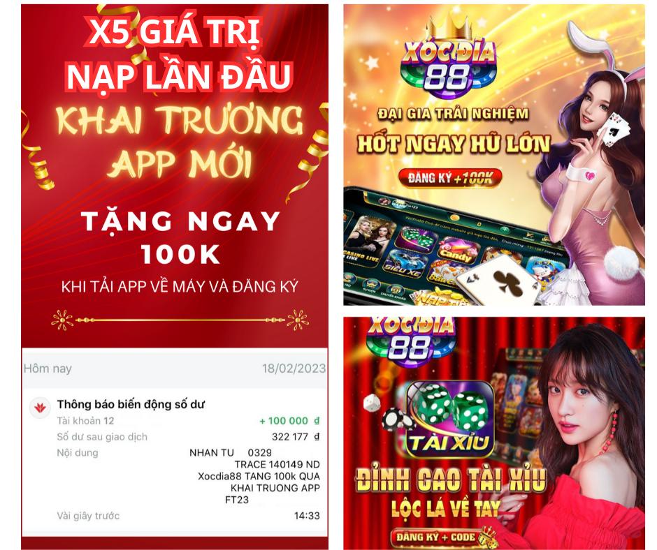 vn8day